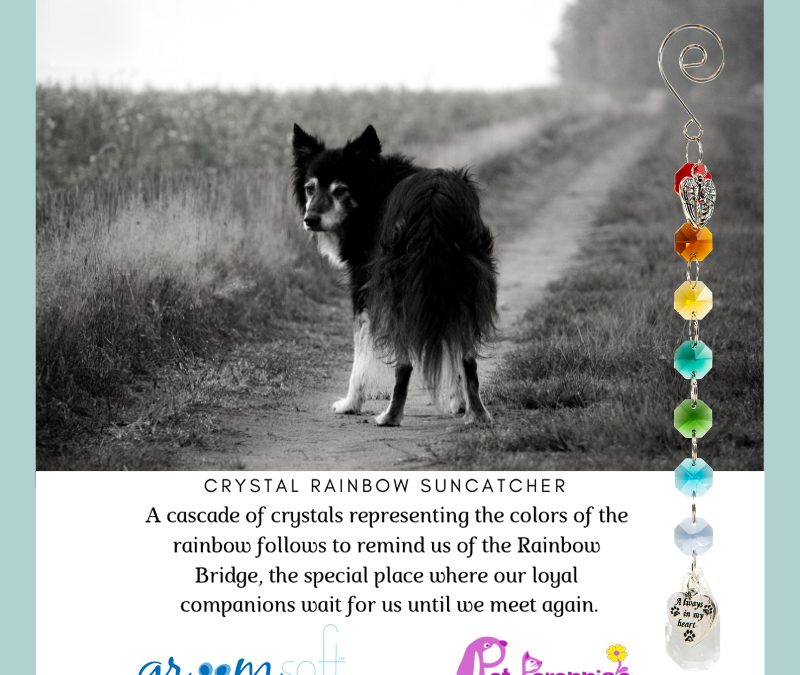 Pet Loss – How Your Pet Grooming Business Can Support Your Clients in Their Time of Need