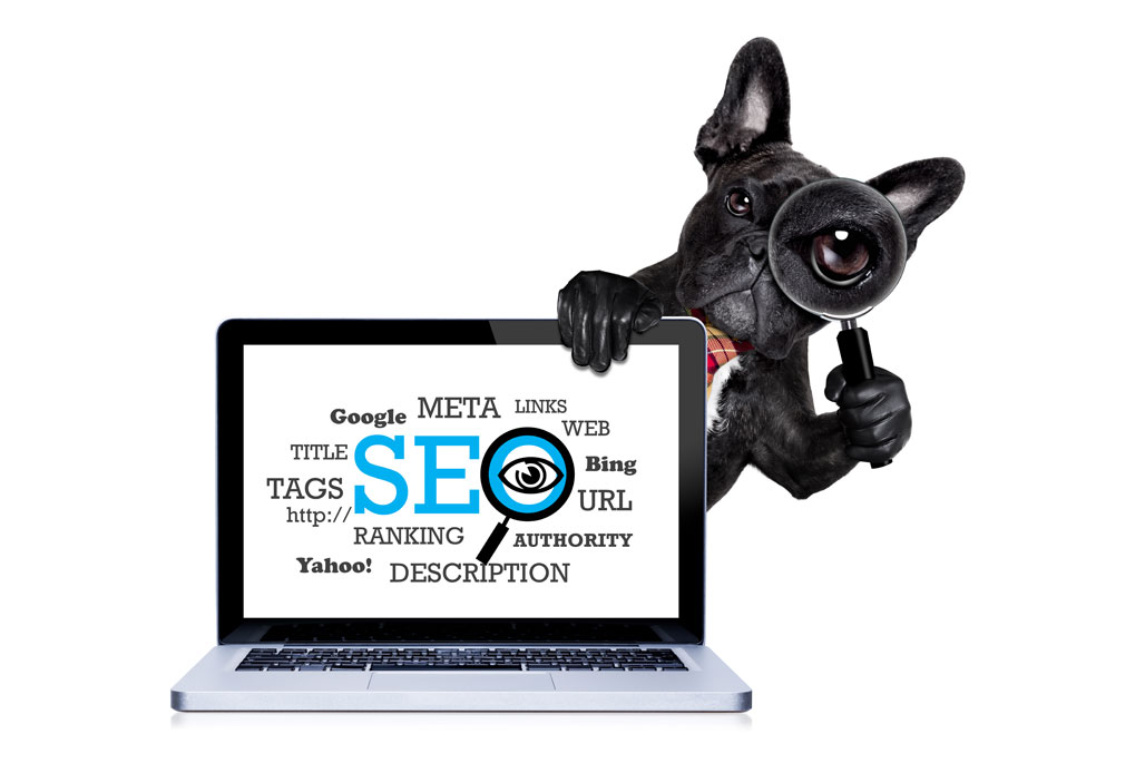 Pet Grooming Software