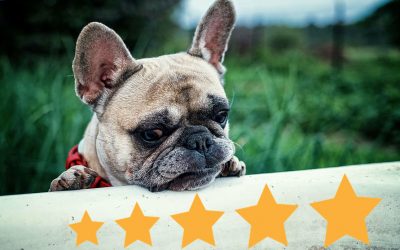 How important are online reviews for a pet grooming business?