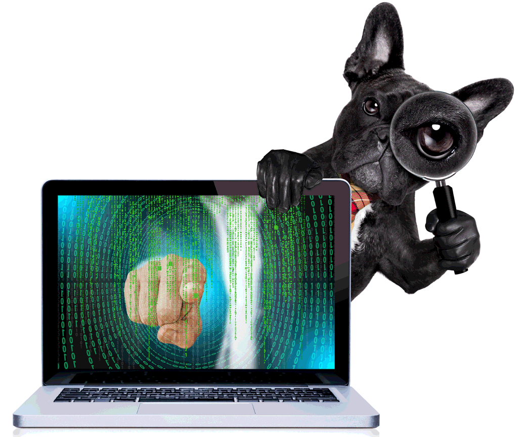 Cybersecurity Dog with Matrix