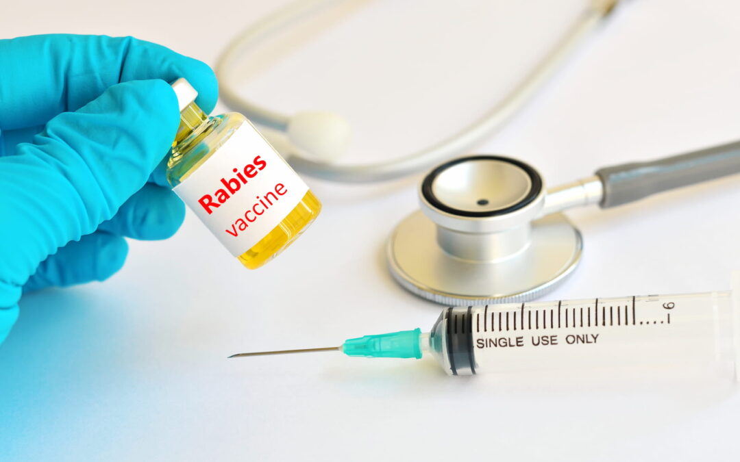 Importance of Vaccinations