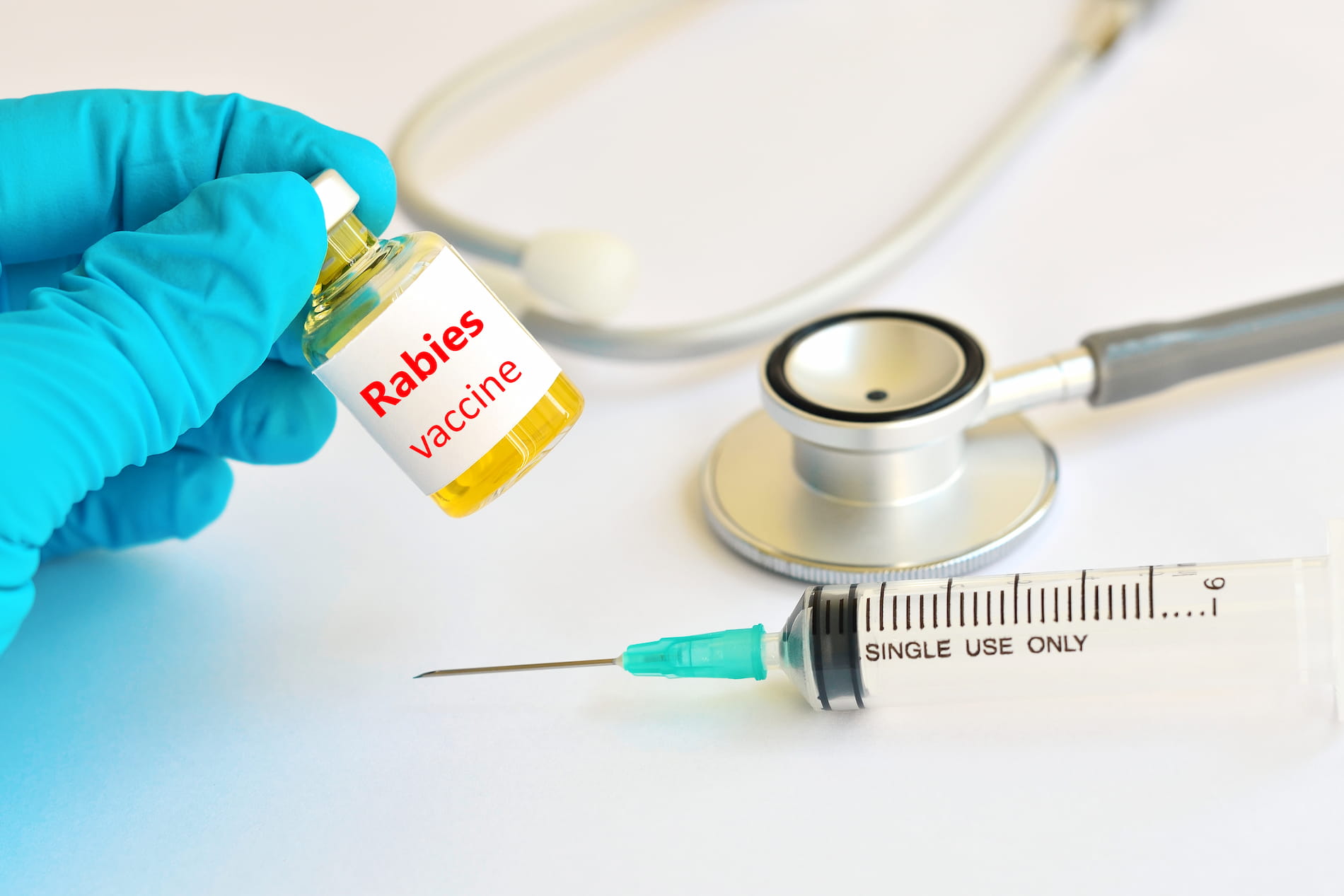 Pet Vaccinations