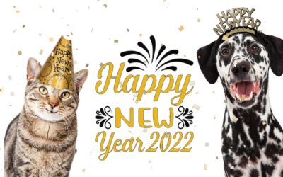 Groomsoft 2021 Year In Review