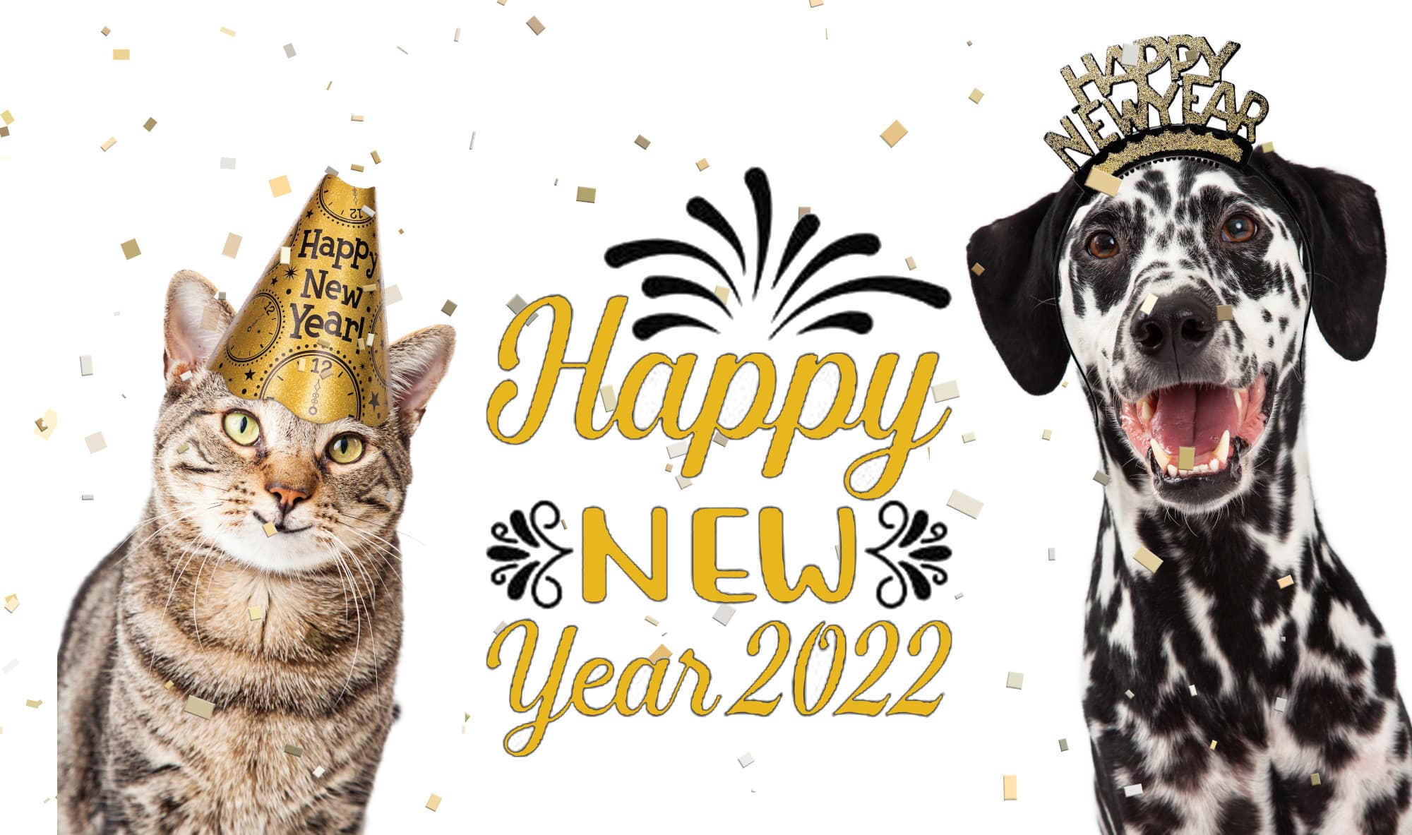 Happy New Year 2022