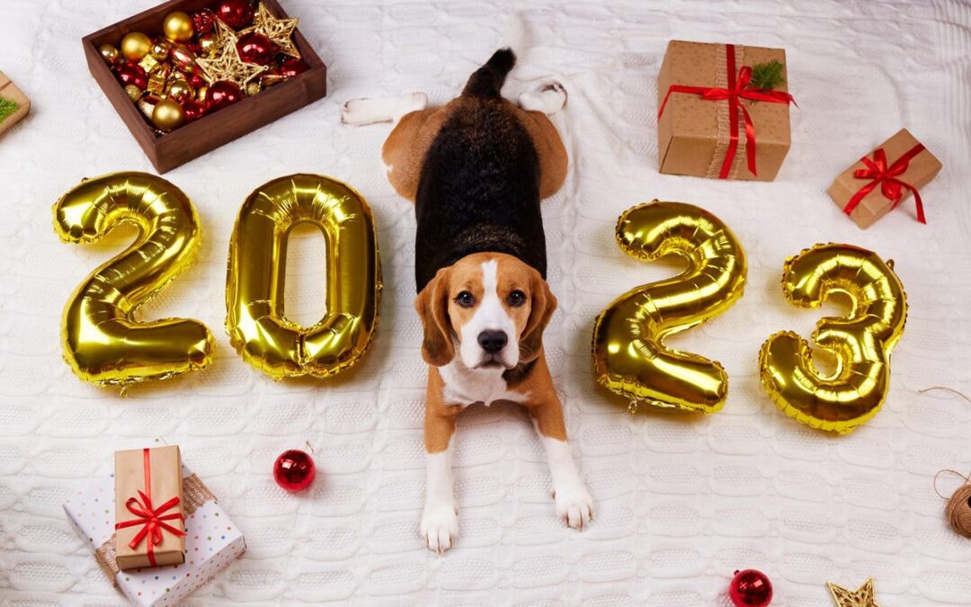 Groomsoft 2022 Year In Review